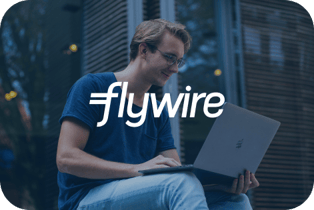 Flywire-EN